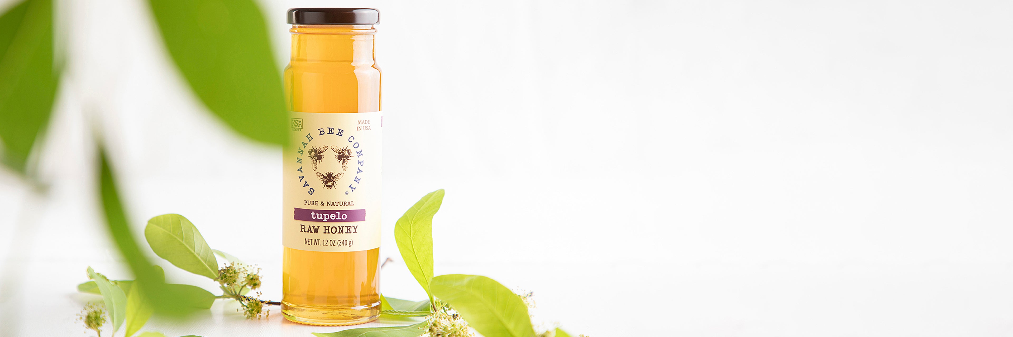 A 12 oz of Tupelo Honey surround by tupelo leafs and buds 